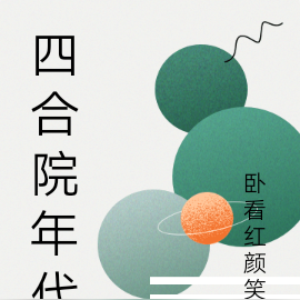 四合院年代文小說