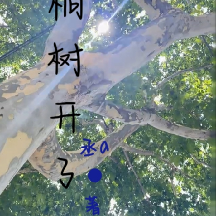 梧桐樹開花了嗎