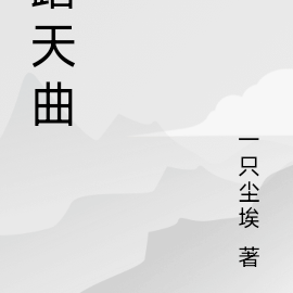 踏天爭鋒小說