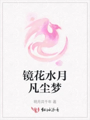 鏡花水月小說