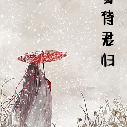 風雪伴君眠小說結局