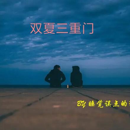 雙夏臥龍小說