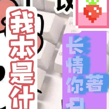 我本是什金