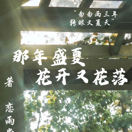 那年盛夏花開小說