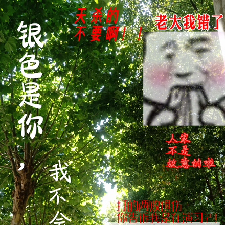 我不會忘記是什麼歌