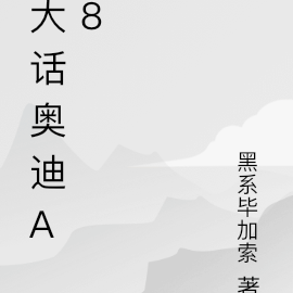 大話奧迪a8