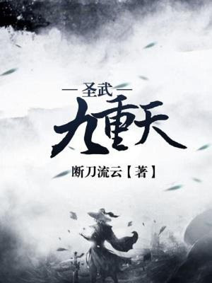 聖武神王小說