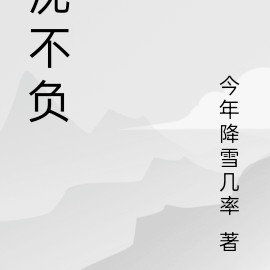 不負沈公子