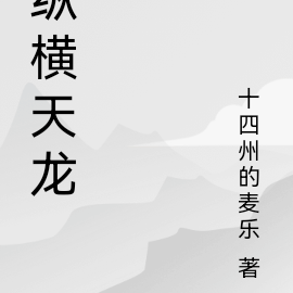 縱橫天下的小說