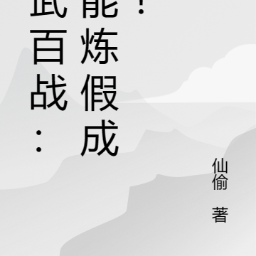 真武假武小說