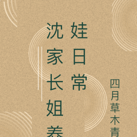 沈家小說