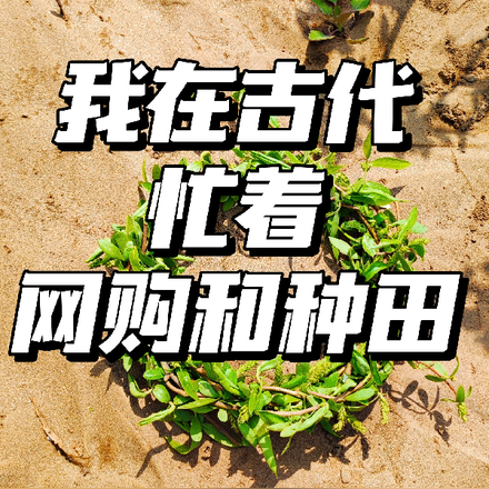 我在古代忙著網購和種田