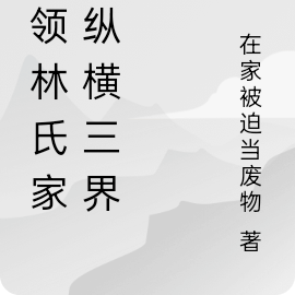 林氏家族崛起 小說