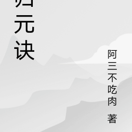 歸元訣 小說