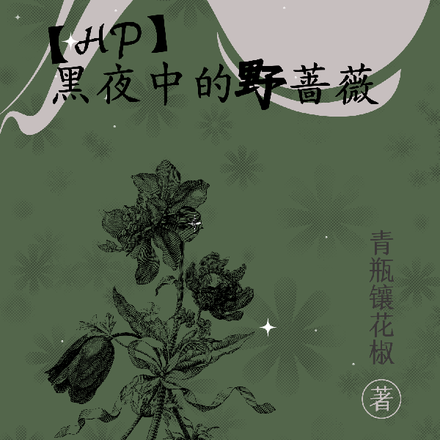 【HP】黑夜中的野薔薇