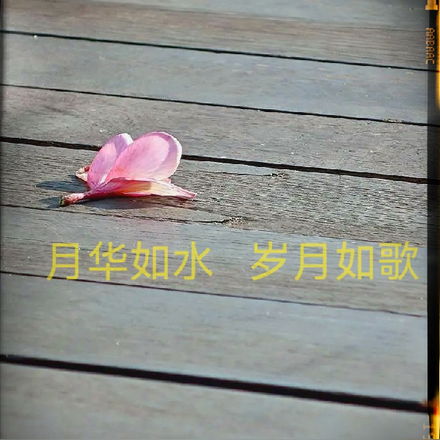 月華如水，歲月如歌