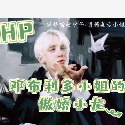 HP鄧布利多小姐的傲嬌小龍