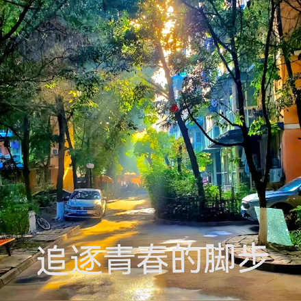 追逐青春的圖片