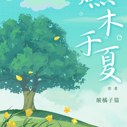 燃木壁爐測評