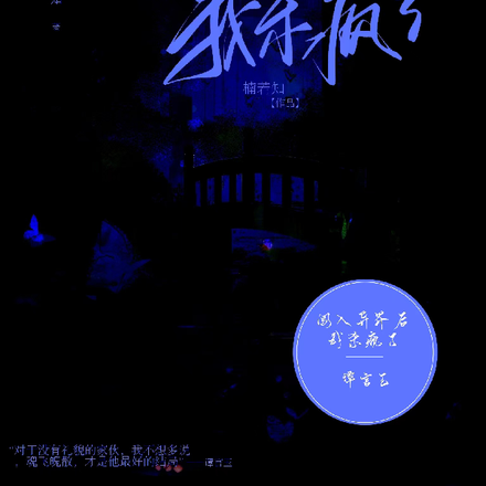 我殺瘋了小說