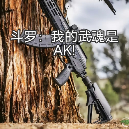 鬥羅：我的武魂是AK！