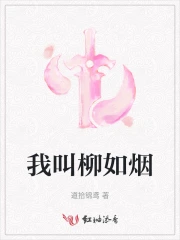 小說女主角叫柳如煙的小說叫啥名